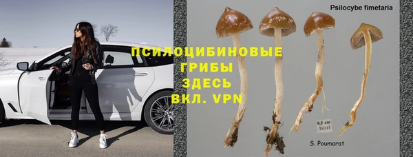 шишки Бугульма