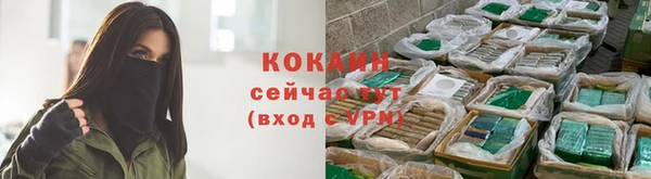 шишки Бугульма