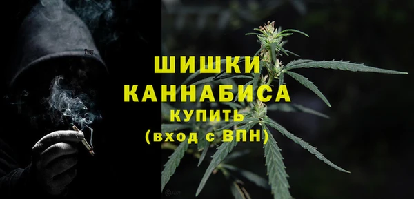 шишки Бугульма