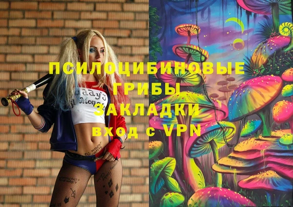шишки Бугульма