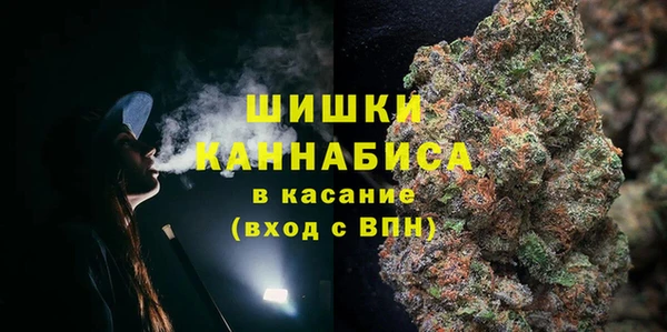 шишки Бугульма