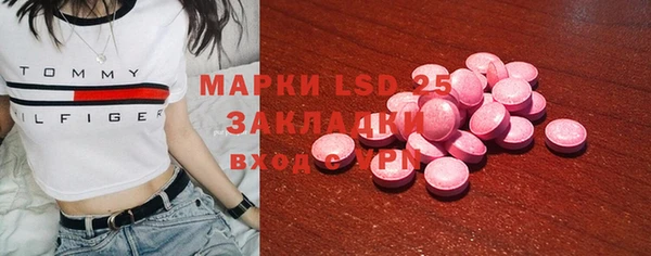сатива Бронницы